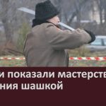 Казаки показали мастерство владения шашкой.mp4_snapshot_00.03_[2025.11.26_08.52.01]