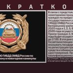 График работы РЭО ГИБДД ОМВД России по Белорецкому району в новогодние каникулы.mp4_snapshot_00.00_[2025.12.27_09.36.38]
