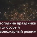 На новогодние праздники вводится особый противопожарный режим.mp4_snapshot_00.04_[2025.12.11_08.46.13]