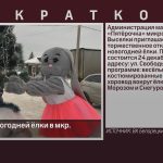 Открытие новогодней ёлки в мкр. Выселки.mp4_snapshot_00.00_[2025.12.24_09.13.44]