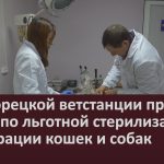 В Белорецкой ветстанции проходит акция по льготной стерилизации и кастрации кошек и собак.mp4_snapshot_00.02_[2025.12.13_09.47.44]