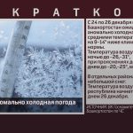 Внимание! Аномально холодная погода.mp4_snapshot_00.02_[2025.12.23_09.13.43]
