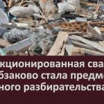 Несанкционированная свалка под Абзаково стала предметом судебного разбирательства.mp4_snapshot_00.03_[2026.01.24_09.42.35]