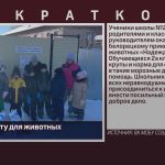 Помощь приюту для животных «Надежда».mp4_snapshot_00.01_[2026.01.28_08.39.05]