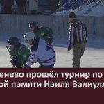 В Серменево прошёл турнир по хоккею с шайбой памяти Наиля Валиуллина.mp4_snapshot_00.00_[2026.01.14_09.15.05]