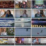 2026-02-11 20-00-07.flv_thumbs_[2026.02.11_20.32.50]