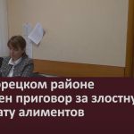 В Белорецком районе вынесен приговор за злостную неуплату алиментов.mp4_snapshot_00.02_[2026.02.17_09.46.22]