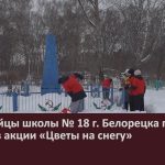 Юнармейцы школы № 18 г. Белорецка приняли участие в акции «Цветы на снегу».mp4_snapshot_00.00_[2026.02.19_08.44.12]