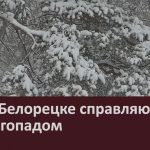 Как в Белорецке справляются со снегопадом.mp4_snapshot_00.02_[2026.03.04_20.07.27]