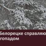 Как в Белорецке справляются со снегопадом.mp4_snapshot_00.02_[2026.03.05_08.52.05]