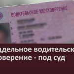 За поддельное водительское удостоверение — под суд.mp4_snapshot_00.00_[2026.03.24_09.55.29]