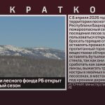 На территории лесного фонда РБ открыт пожароопасный сезон.mp4_snapshot_00.00_[2026.04.11_08.56.27]
