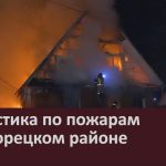 Статистика по пожарам в Белорецком районе.mp4_snapshot_00.04_[2026.04.30_09.49.23]