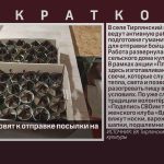 Тирлянцы готовят к отправке посылки на СВО.mp4_snapshot_00.00_[2026.04.08_09.04.58]