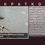В Белорецке спасатели пришли на помощь маленькому щенку.mp4_snapshot_00.00_[2026.04.29_09.18.18]