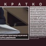 В Белорецке вынесен приговор мужчине за незаконно рубку деревьев.mp4_snapshot_00.02_[2026.04.01_08.30.48]