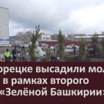 В Белорецке высадили молодые сосны в рамках второго этапа «Зелёной Башкирии».mp4_snapshot_00.02_[2026.04.28_09.00.02]