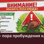 Весна — пора пробуждения клещей.mp4_snapshot_00.02_[2026.04.25_08.44.29]