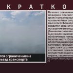 В лесах вводится ограничение на посещение и въезд транспорта.mp4_snapshot_00.00_[2026.05.23_08.56.41]
