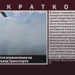 В лесах вводится ограничение на посещение и въезд транспорта.mp4_snapshot_00.01_[2026.05.28_08.43.01]