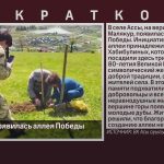 В селе Ассы появилась аллея Победы.mp4_snapshot_00.01_[2026.05.13_09.09.40]