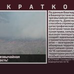 Внимание! Чрезвычайная пожароопасность!.mp4_snapshot_00.01_[2026.05.21_09.57.25]