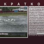 Лебеди на реке Инзер.mp4_snapshot_00.01_[2026.06.03_08.50.47]
