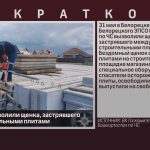 Спасатели вызволили щенка, застрявшего между строительными плитами.mp4_snapshot_00.01_[2026.06.02_10.23.21]