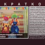 Театр из Белорецка порадовал юных зрителей Сосновки.mp4_snapshot_00.01_[2026.06.03_08.51.34]