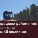 В Белорецком районе идет активная фаза дорожной кампании.mp4_snapshot_00.00_[2026.06.18_09.23.28]