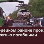 В Белорецком районе произошло ДТП с пятью погибшими.mp4_snapshot_00.03_[2026.06.25_17.12.42]