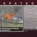 В лесном фонде РБ объявлен особый противопожарный режим.mp4_snapshot_00.00_[2026.06.13_08.58.27]
