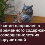 Белоречанин направлен в Центр временного содержания для несовершеннолетних правонарушителей.mp4_snapshot_00.02_[2026.07.01_09.02.26]
