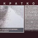 С 16 по 20 июля ожидаются дожди, местами сильные ливни.mp4_snapshot_00.01_[2026.07.16_10.47.15]