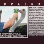 Участник СВО в селе Реветь открыл зоопарк-ферму благодаря соцконтракту.mp4_snapshot_00.00_[2026.07.23_09.25.17]