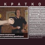 В Белорецке прошли зональные соревнования по служебному двоеборью.mp4_snapshot_00.01_[2026.07.16_10.47.46]