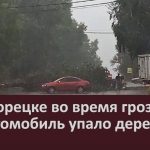 В Белорецке во время грозы на автомобиль упало дерево.mp4_snapshot_00.04_[2026.07.08_10.10.25]
