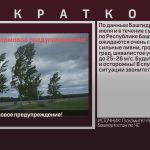 Внимание, штормовое предупреждение!.mp4_snapshot_00.01_[2026.07.09_08.50.29]