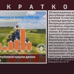 За сутки в республике нашли двоих потерявшихся.mp4_snapshot_00.01_[2026.07.17_20.42.43]