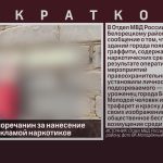 Задержан белоречанин за нанесение граффити с рекламой наркотиков.mp4_snapshot_00.00_[2026.07.14_09.25.54]