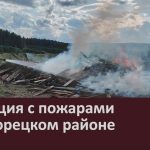 Ситуация с пожарами в Белорецком районе.mp4_snapshot_00.00_[2026.08.18_09.04.41]