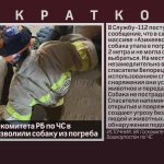 Спасатели Госкомитета РБ по ЧС в Белорецке вызволили собаку из погреба.mp4_snapshot_00.01_[2026.08.15_08.42.35]