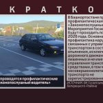 В Башкортостане проводятся профилактические мероприятия «Законопослушный водитель».mp4_snapshot_00.00_[2026.08.29_09.08.52]