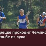 В Белорецке проходит Чемпионат РБ по стрельбе из лука.mp4_snapshot_00.04_[2026.08.13_10.11.10]