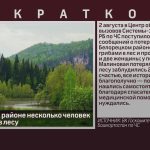 В Белорецком районе несколько человек заблудились в лесу.mp4_snapshot_00.01_[2026.08.03_19.57.39]