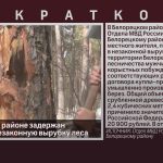 В Белорецком районе задержан мужчина за незаконную вырубку леса.mp4_snapshot_00.01_[2026.08.19_08.41.20]