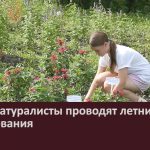 Юные натуралисты проводят летние исследования.mp4_snapshot_00.02_[2026.08.11_08.38.56]