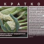 19 сентября в Белорецке стартуют традиционные сельскохозяйственные ярмарки.mp4_snapshot_00.00_[2026.09.17_09.47.43]