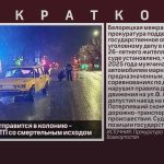 Белоречанин отправится в колонию-поселение за ДТП со смертельным исходом.mp4_snapshot_00.00_[2026.09.17_09.47.19]