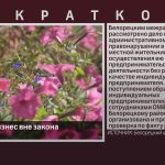 Цветочный бизнес вне закона.mp4_snapshot_00.01_[2026.09.08_09.29.19]